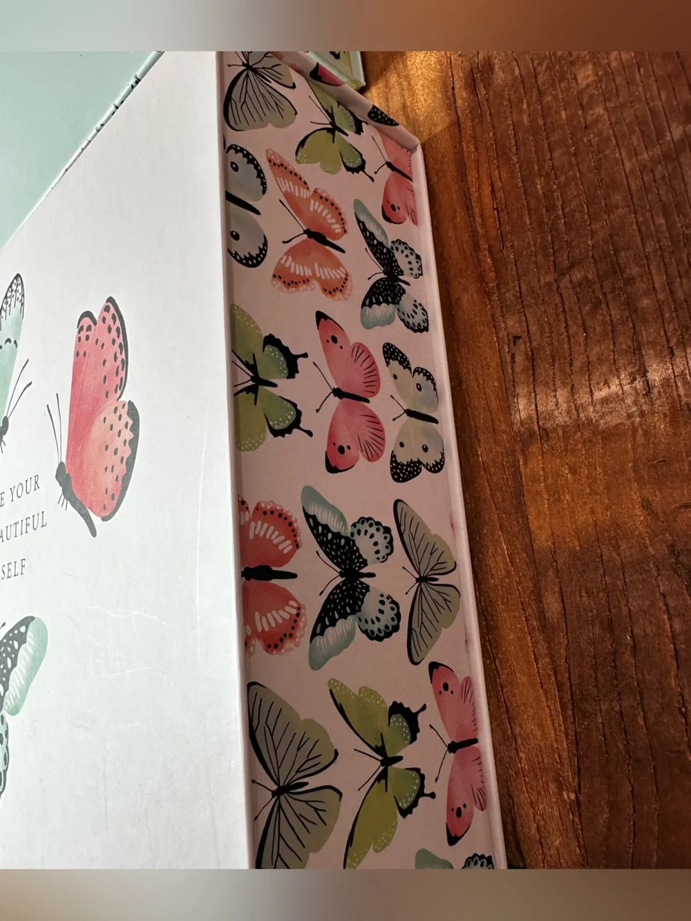 Butterfly Canvas Storage Box Set - Mint Green & Coral